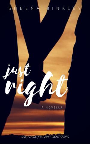 Cover of the book Just Right by Sheena Binkley