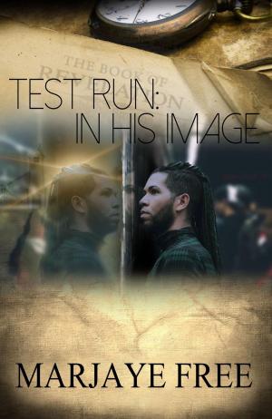 Cover of the book Test Run by Jorge Zepeda Patterson