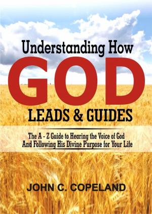 bigCover of the book Understanding How God Leads & Guides by 