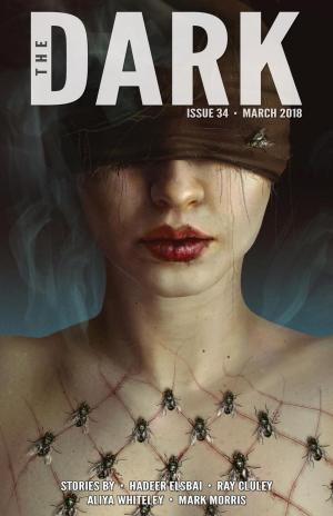 Cover of the book The Dark Issue 34 by Sara Saab, Ray Cluley, Lisa L. Hannett, E. Catherine Tobler