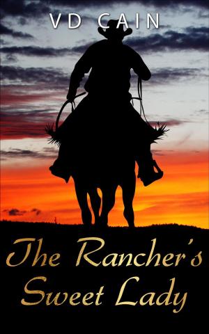 Book cover of The Rancher's Sweet Lady