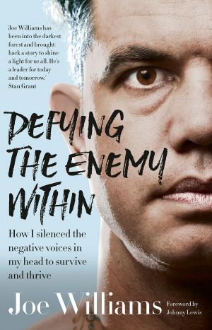 Cover of the book Defying The Enemy Within by Christine Brooks Martin