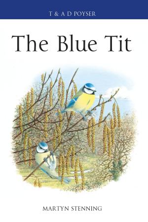 Cover of the book The Blue Tit by Beth Chambers