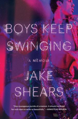 Cover of the book Boys Keep Swinging by Casey Legler