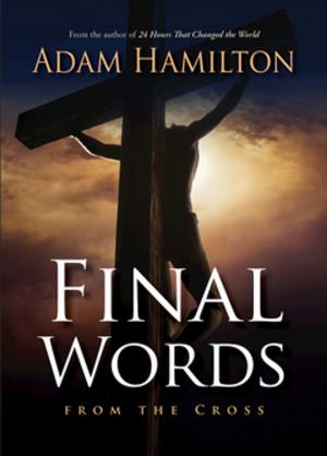 Cover of the book Final Words From the Cross by Lisa Carter
