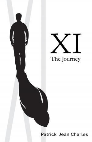 Cover of the book XI by J.E. Gulbrandsen