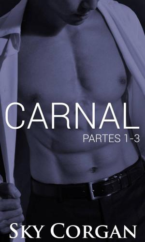 Cover of the book Carnal: Partes 1-3 by D L Davito