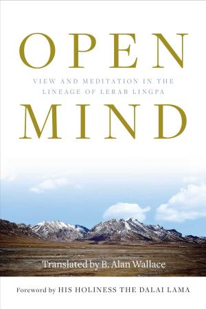 Cover of the book Open Mind by B. Alan Wallace