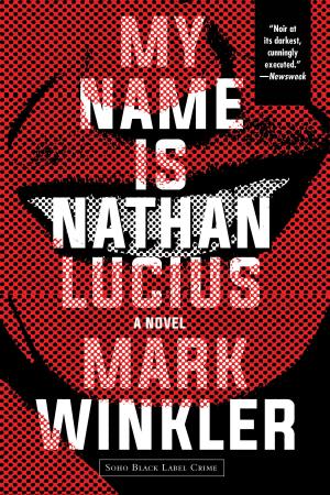 Cover of the book My Name Is Nathan Lucius by James Barnes