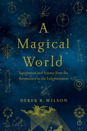 Cover of the book A Magical World: Superstition and Science from the Renaissance to the Enlightenment by Patrick Lindner