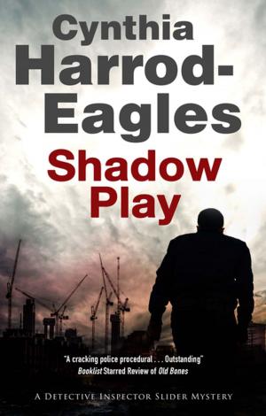 Cover of the book Shadow Play by Mary Ellis