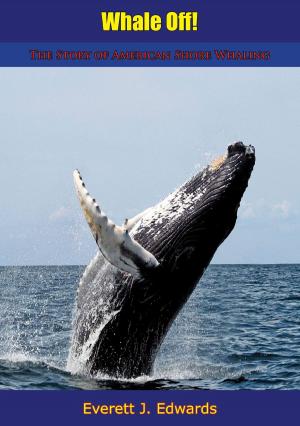 bigCover of the book Whale Off! by 