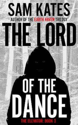 bigCover of the book The Lord of the Dance by 