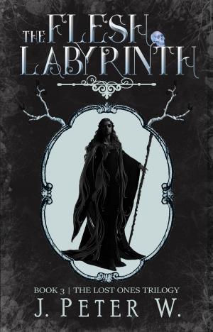 Cover of the book The Flesh Labyrinth by John L. Lansdale