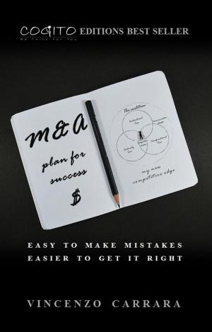 Cover of M&A Plan for Success