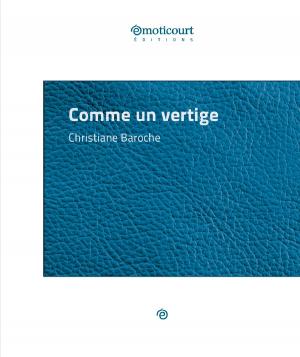Cover of the book Comme un vertige by Korin I. Dushayl