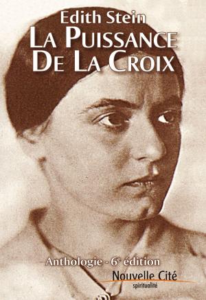 Cover of the book La puissance de la Croix by Philippe Abadie, Bénédicte Draillard