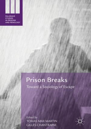 Cover of the book Prison Breaks by Paul Turner
