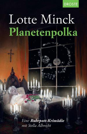 Cover of the book Planetenpolka by Eva Karnofsky