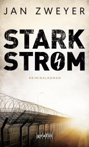 Cover of the book Starkstrom by Silke Ziegler