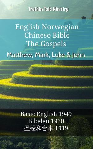 Cover of the book English Norwegian Chinese Bible - The Gospels - Matthew, Mark, Luke & John by Silvano Fausti