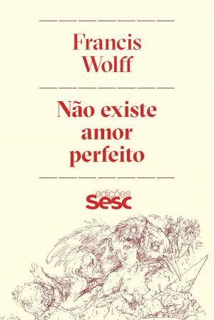 Book cover of Não existe amor perfeito