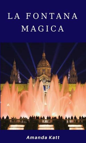 Cover of the book La fontana magica by Roberto Di Molfetta