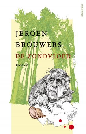 Cover of the book De zondvloed by Joris Luyendijk