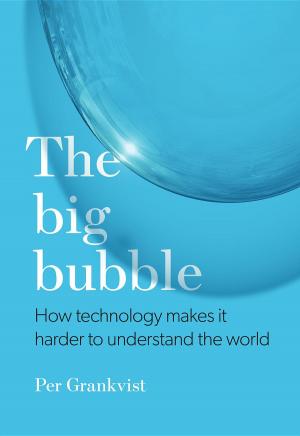 Cover of The Big Bubble