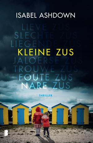 Cover of the book Kleine zus by Judith Lennox