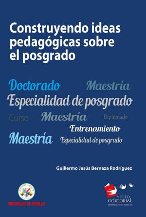 Book cover of Construyendo ideas pedagógicas sobre el posgrado