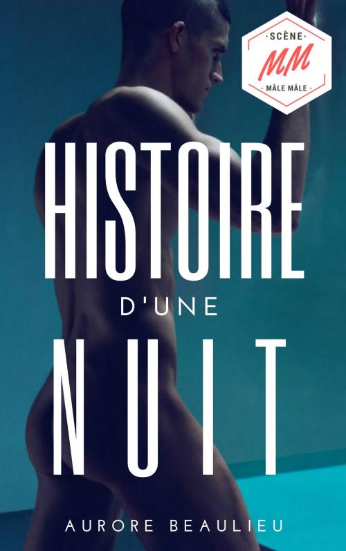 Cover of the book Plaisir d'une nuit by Aurore Beaulieu, AB Edition