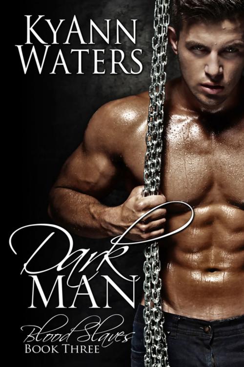 Cover of the book Dark Man by KyAnn Waters, K.Ink