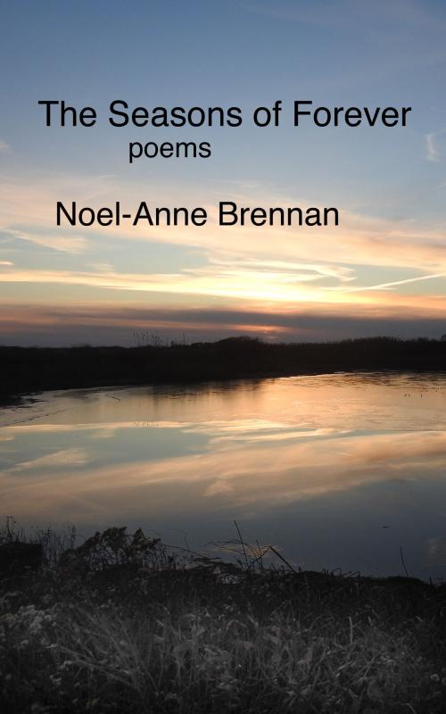 Cover of the book The Seasons of Forever by Noel-Anne Brennan, Sander Press