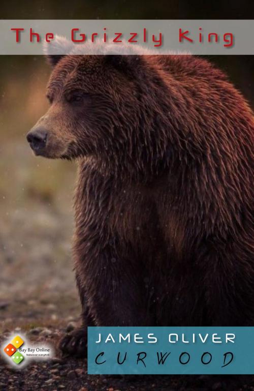 Cover of the book The Grizzly King by James Oliver Curwood, Bay Bay Online Books