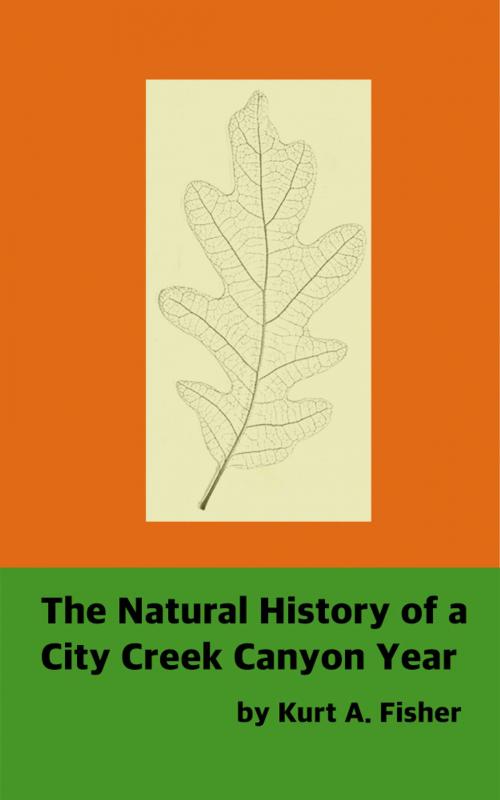 Cover of the book The Natural History of a City Creek Canyon Year by Kurt Fisher, Kurt A. Fisher