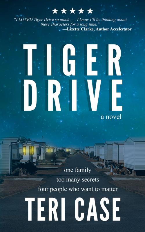 Cover of the book TIGER DRIVE by Teri Case, BZCE Publishing