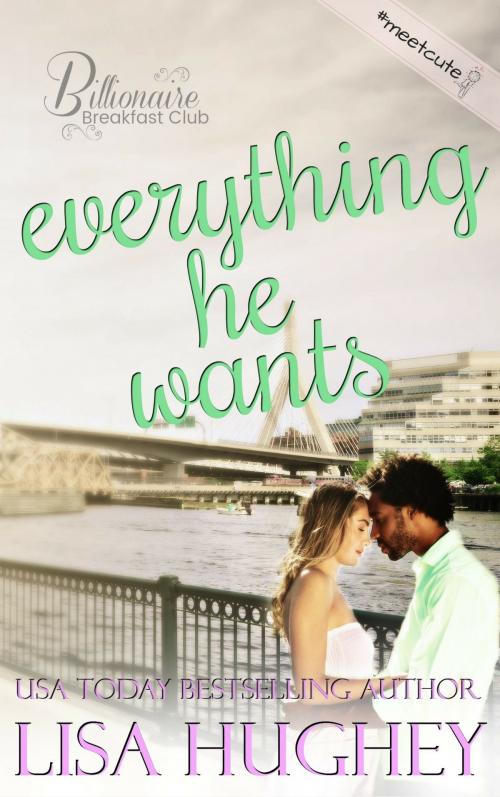 Cover of the book Everything He Wants by Lisa Hughey, Salty Kisses Press, LLC