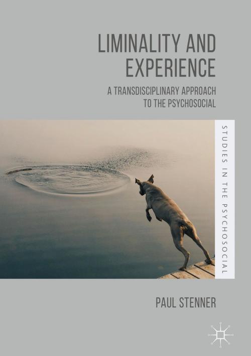 Cover of the book Liminality and Experience by Paul Stenner, Palgrave Macmillan UK