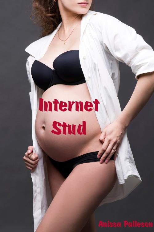 Cover of the book Internet Stud by Anissa Palleson, Anissa Palleson