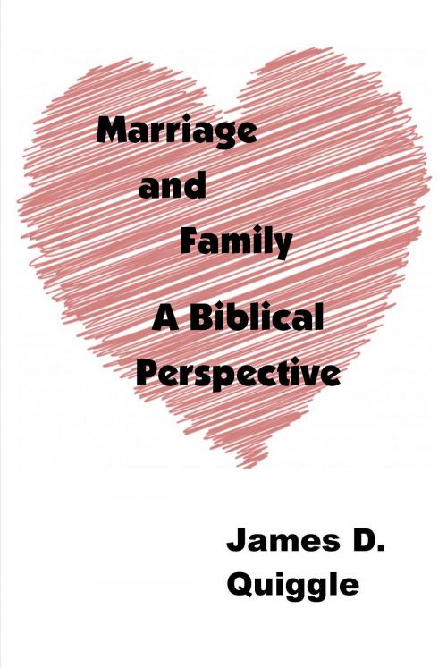 Cover of the book Marriage and Family: A Biblical Perspective by James D. Quiggle, James D. Quiggle