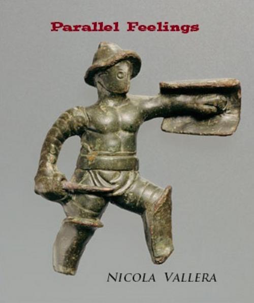 Cover of the book Parallel Feelings by Nicola Vallera, Nicola Vallera