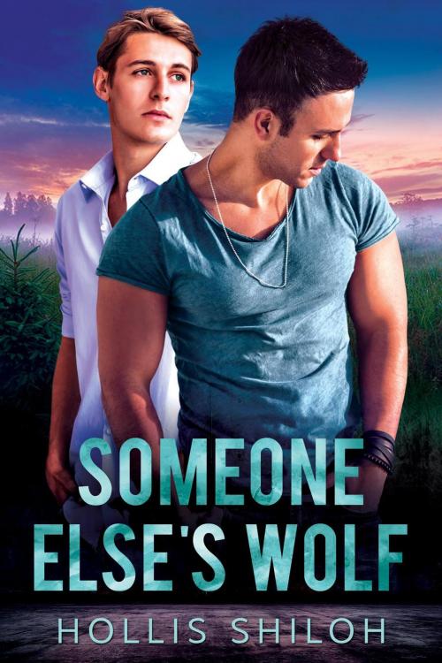 Cover of the book Someone Else's Wolf by Hollis Shiloh, Spare Words Press