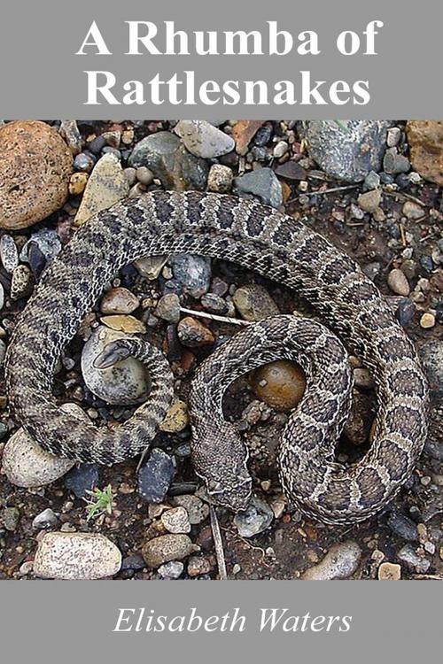 Cover of the book A Rhumba of Rattlesnakes by Elisabeth Waters, Marion Zimmer Bradley Literary Works Trust