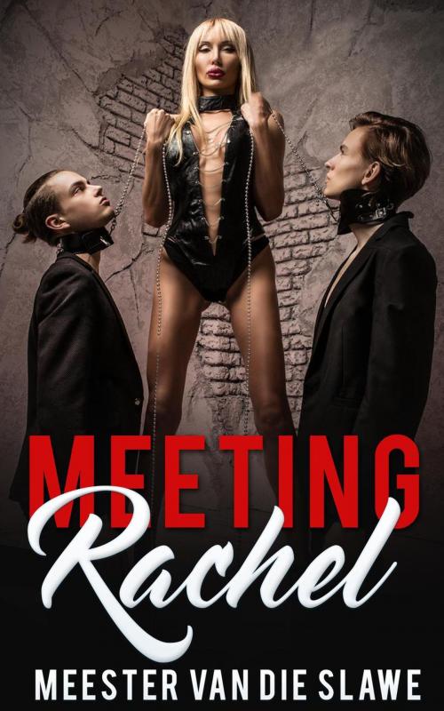 Cover of the book Meeting Rachel by Meester van die Slawe, Poor Man Publishing