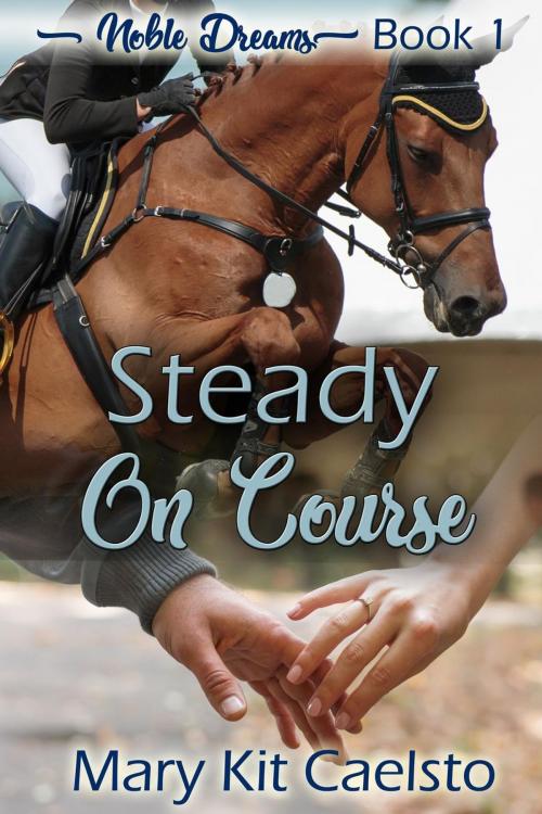 Cover of the book Steady on Course by Mary Kit Caelsto, Charmed Chicken Media