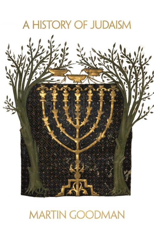 Cover of the book A History of Judaism by Martin Goodman, Princeton University Press