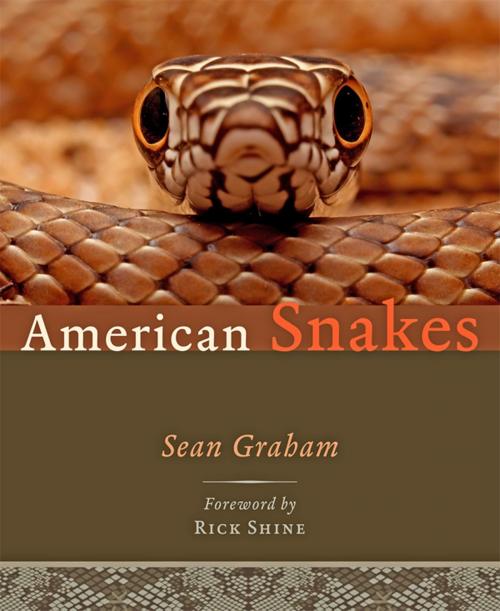 Cover of the book American Snakes by Sean P. Graham, Johns Hopkins University Press