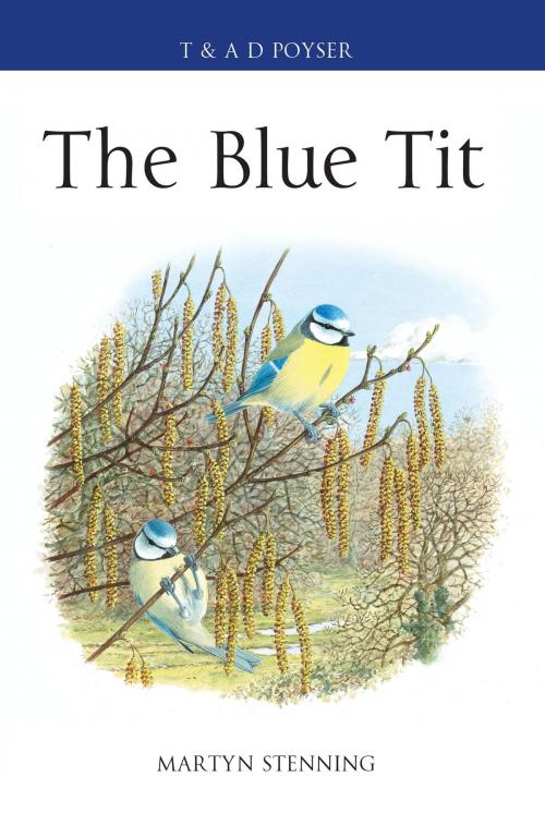 Cover of the book The Blue Tit by Dr Martyn Stenning, Bloomsbury Publishing