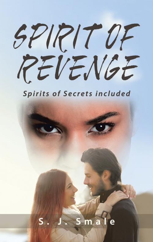 Cover of the book Spirit of Revenge by S. J Smale, Trafford Publishing